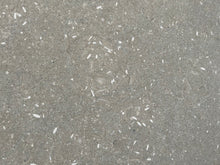 Load image into Gallery viewer, CHATEAU GREEN FOSSIL LIMESTONE SLAB
