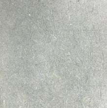 Load image into Gallery viewer, CHATEAU GREEN FOSSIL LIMESTONE TUMBLED
