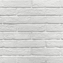Load image into Gallery viewer, BRICK WHITE 60X250X10

