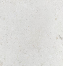Load image into Gallery viewer, WHITE FOSSIL LIMESTONE
